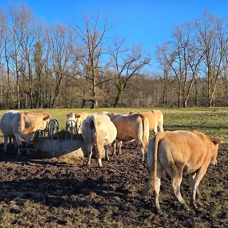 Feriehus La Casa Mora Grande