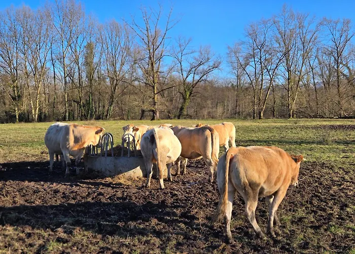 펜션 La Casa Mora Grande